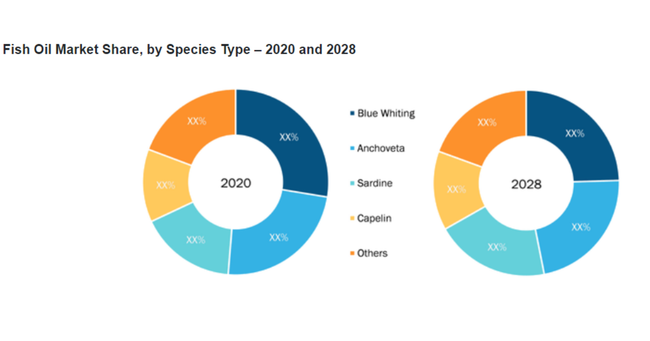 tBbVICsA2021N`2028NCAGR6.2%Ő\