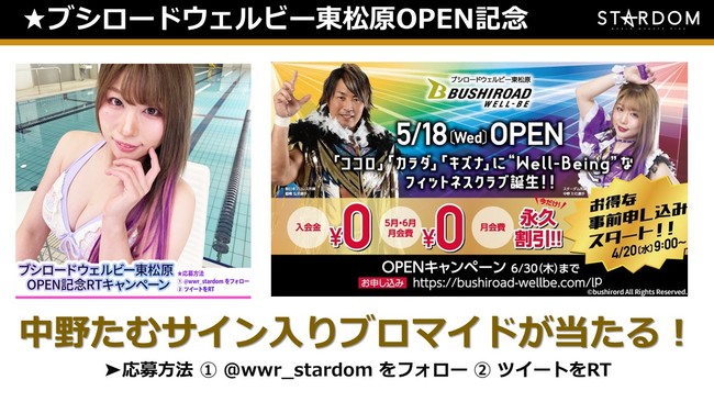 STARDOM̃rbO}b`I5E28wSTARDOM Flashing Champions 2022x闢~肳AJ~MIRAIقA7剤!!