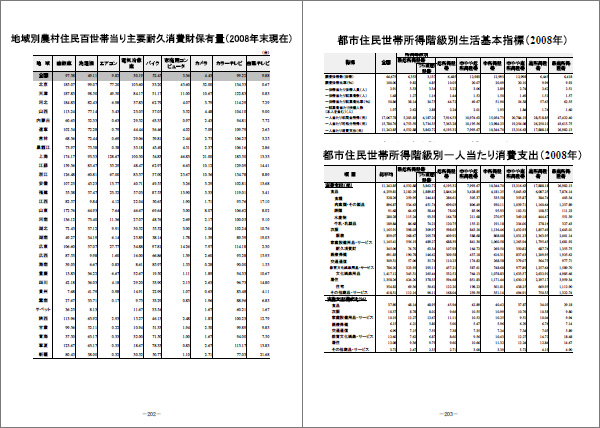 中国マーケティングデータ総覧２０１０
